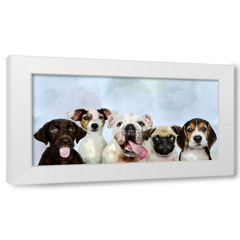 Puppy Portrait White Modern Wood Framed Art Print by Allen, Kimberly