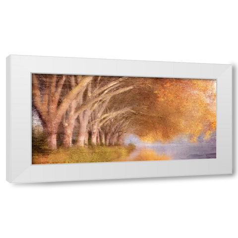 Quiet Autumn Pond White Modern Wood Framed Art Print by Allen, Kimberly