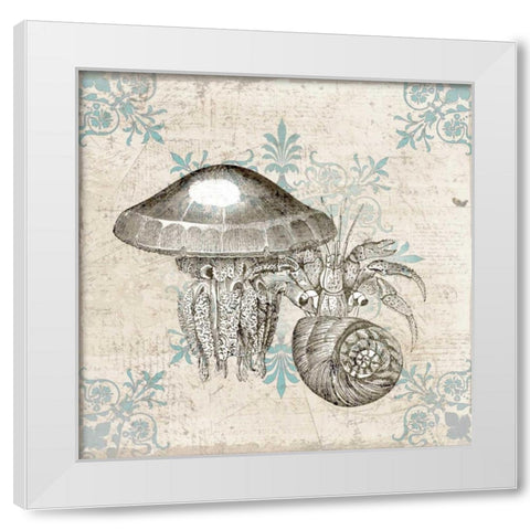 Sea Life B White Modern Wood Framed Art Print by Allen, Kimberly