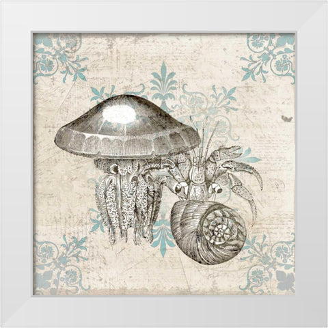 Sea Life B White Modern Wood Framed Art Print by Allen, Kimberly
