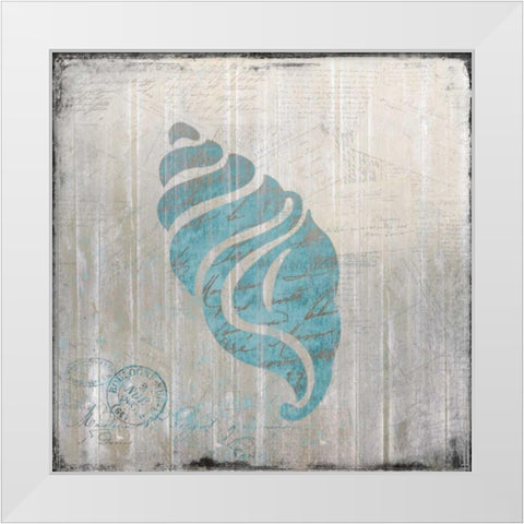 Seashell 1 White Modern Wood Framed Art Print by Allen, Kimberly