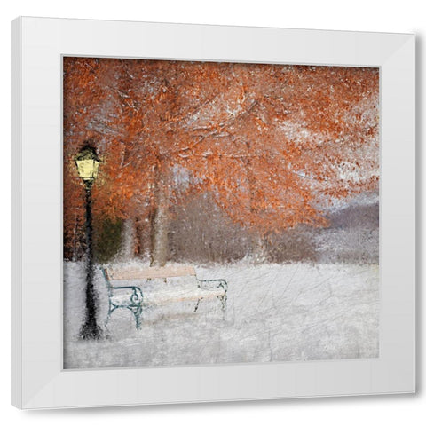 A Change of Seasons White Modern Wood Framed Art Print by Kimberly, Allen