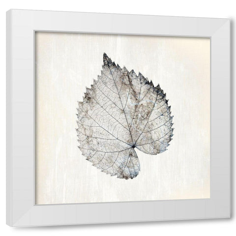 Marbled White 1 White Modern Wood Framed Art Print by Kimberly, Allen