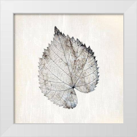Marbled White 1 White Modern Wood Framed Art Print by Kimberly, Allen