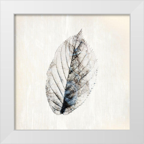 Marbled White 2 White Modern Wood Framed Art Print by Kimberly, Allen