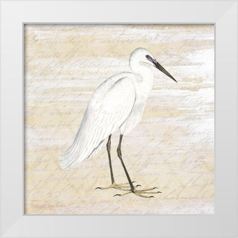 Shore Birds 1 White Modern Wood Framed Art Print by Kimberly, Allen