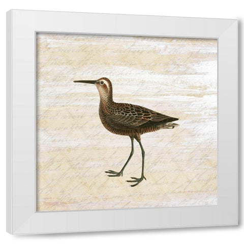 Shore Birds 2 White Modern Wood Framed Art Print by Kimberly, Allen