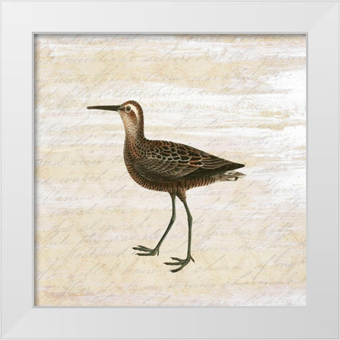 Shore Birds 2 White Modern Wood Framed Art Print by Kimberly, Allen