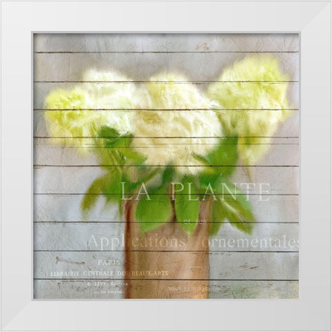 Hydrangeas in Copper White Modern Wood Framed Art Print by Kimberly, Allen