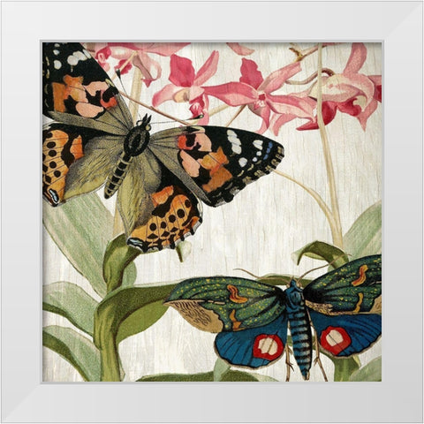 Butterfly World 1 White Modern Wood Framed Art Print by Kimberly, Allen