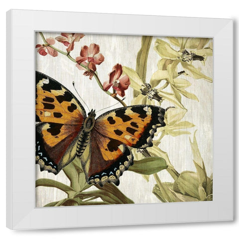 Butterfly World 2 White Modern Wood Framed Art Print by Kimberly, Allen