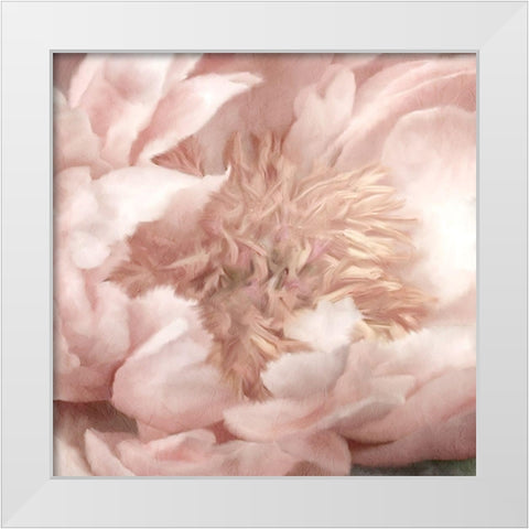 Peony Center White Modern Wood Framed Art Print by Kimberly, Allen
