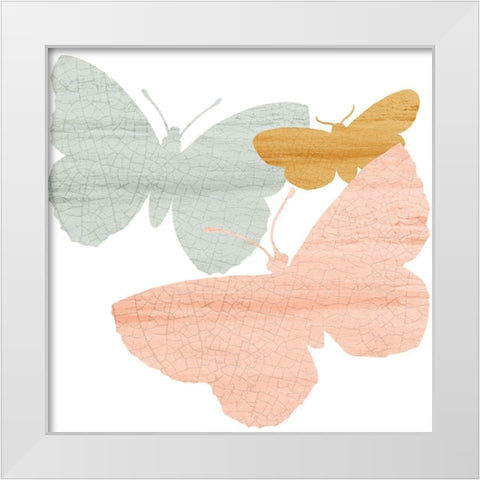 Butterfly Collection 1 White Modern Wood Framed Art Print by Kimberly, Allen