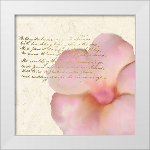 Spring Blooming Pink White Modern Wood Framed Art Print by Kimberly, Allen