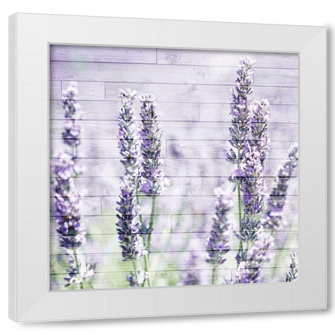 Lavender Fields 1 White Modern Wood Framed Art Print by Kimberly, Allen