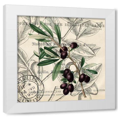 Olive Branch 2 White Modern Wood Framed Art Print by Kimberly, Allen