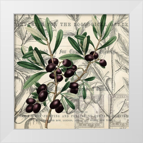 Olive Branch 3 White Modern Wood Framed Art Print by Kimberly, Allen