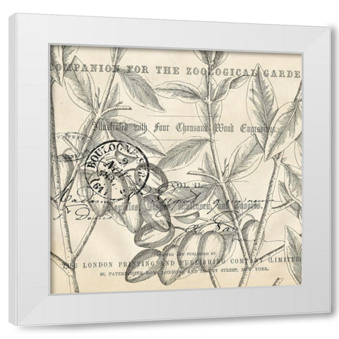 Olive Branch 4 White Modern Wood Framed Art Print by Kimberly, Allen