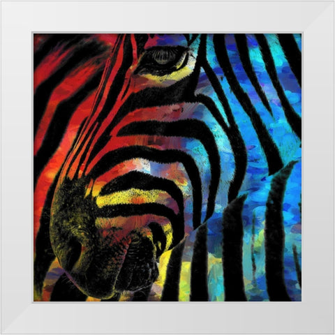 Zebra 1 White Modern Wood Framed Art Print by Kimberly, Allen