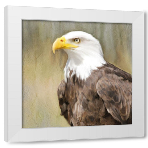 Eagle Eye White Modern Wood Framed Art Print by Kimberly, Allen
