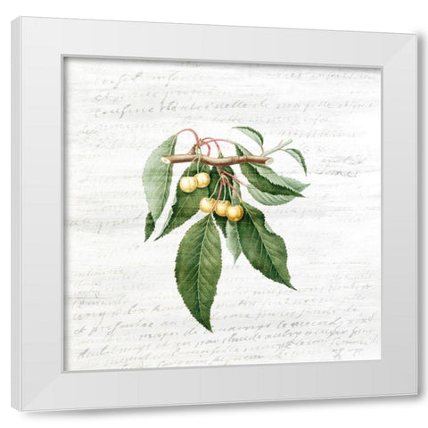 Cherries 1 White Modern Wood Framed Art Print by Kimberly, Allen