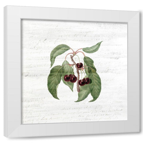 Cherries 2 White Modern Wood Framed Art Print by Kimberly, Allen