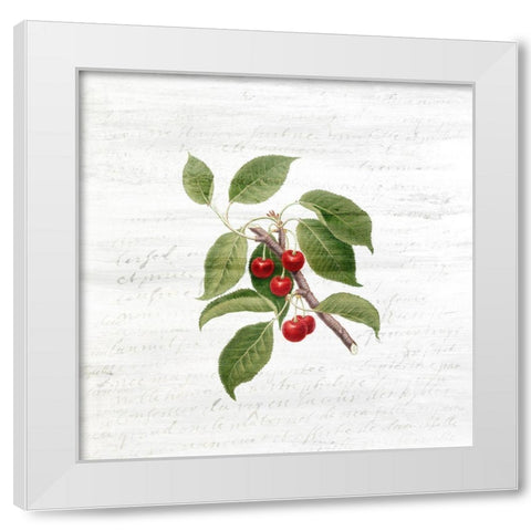 Cherries 3 White Modern Wood Framed Art Print by Kimberly, Allen