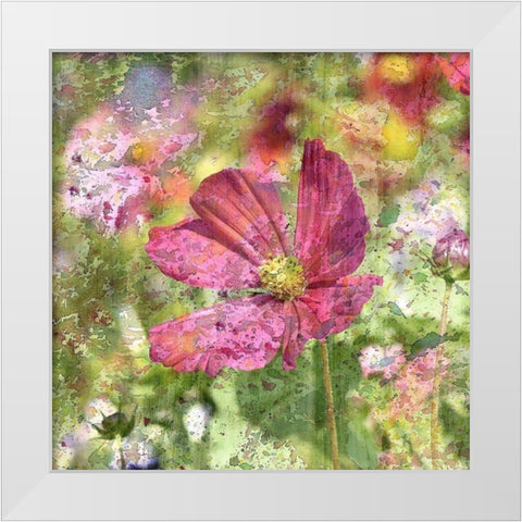 Wildflower Square 2 White Modern Wood Framed Art Print by Kimberly, Allen