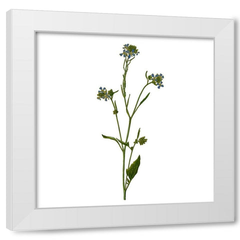 Family Gathers 5 White Modern Wood Framed Art Print by Kimberly, Allen