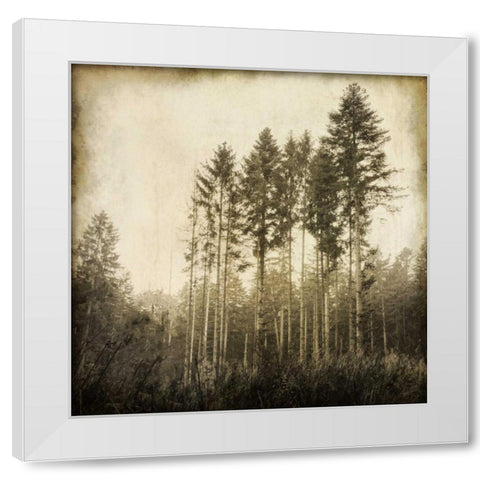 Enchanted Forest 3 White Modern Wood Framed Art Print by Allen, Kimberly