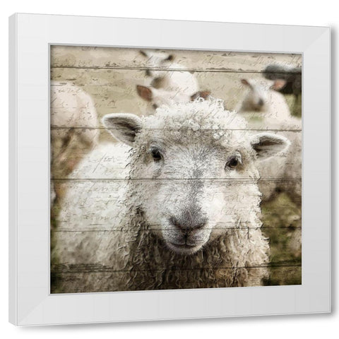 Farm Life 1 White Modern Wood Framed Art Print by Kimberly, Allen