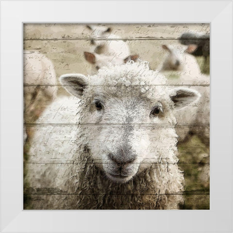 Farm Life 1 White Modern Wood Framed Art Print by Kimberly, Allen