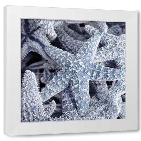 Starfish Beach 2 V3 White Modern Wood Framed Art Print by Allen, Kimberly
