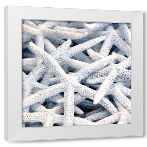 Starfish Beach 3 V3 White Modern Wood Framed Art Print by Allen, Kimberly