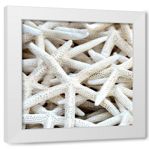Starfish Beach 3 v2 White Modern Wood Framed Art Print by Kimberly, Allen