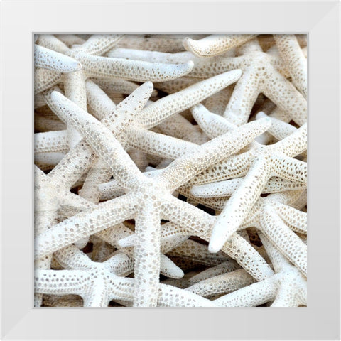 Starfish Beach 3 v2 White Modern Wood Framed Art Print by Kimberly, Allen