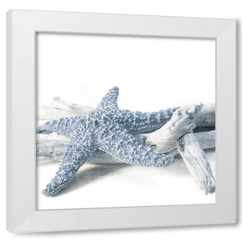 Starfish Beach 4 V3 White Modern Wood Framed Art Print by Allen, Kimberly