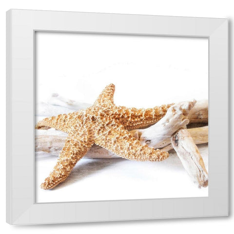 Starfish Beach 4 v2 White Modern Wood Framed Art Print by Kimberly, Allen