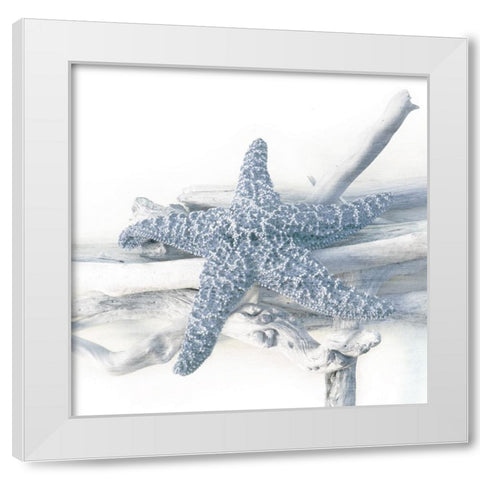 Starfish Beach 5 V3 White Modern Wood Framed Art Print by Allen, Kimberly
