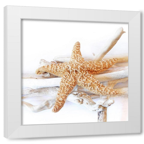 Starfish Beach 5 v2 White Modern Wood Framed Art Print by Kimberly, Allen