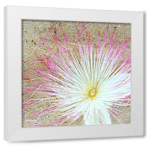 Beach Daze 5 White Modern Wood Framed Art Print by Kimberly, Allen