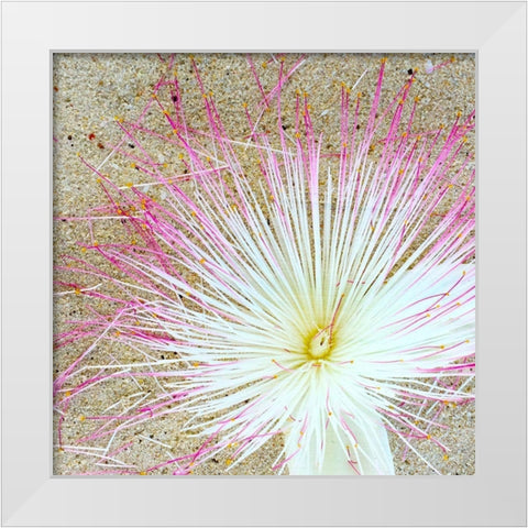 Beach Daze 5 White Modern Wood Framed Art Print by Kimberly, Allen