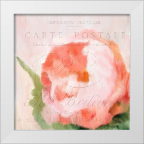 Pink Peony White Modern Wood Framed Art Print by Kimberly, Allen