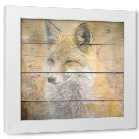 Woodland 2 White Modern Wood Framed Art Print by Kimberly, Allen