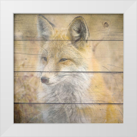 Woodland 2 White Modern Wood Framed Art Print by Kimberly, Allen