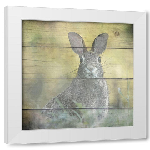 Woodland 3 White Modern Wood Framed Art Print by Kimberly, Allen