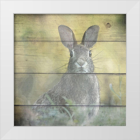 Woodland 3 White Modern Wood Framed Art Print by Kimberly, Allen
