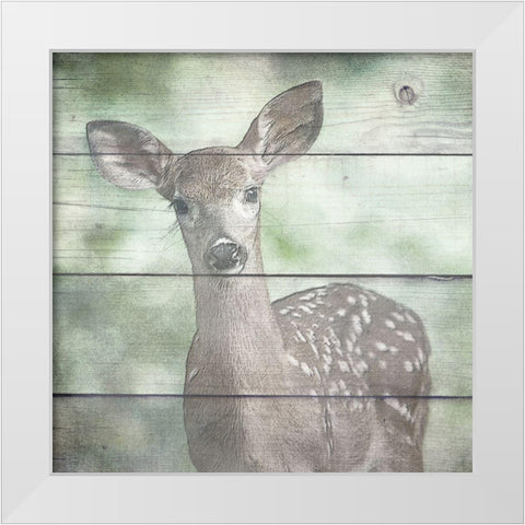 Woodland 4 White Modern Wood Framed Art Print by Kimberly, Allen