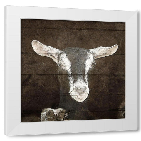 Farm Life 4 White Modern Wood Framed Art Print by Kimberly, Allen