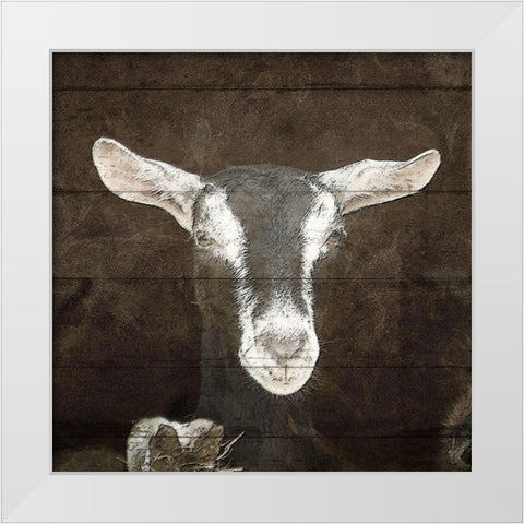 Farm Life 4 White Modern Wood Framed Art Print by Kimberly, Allen